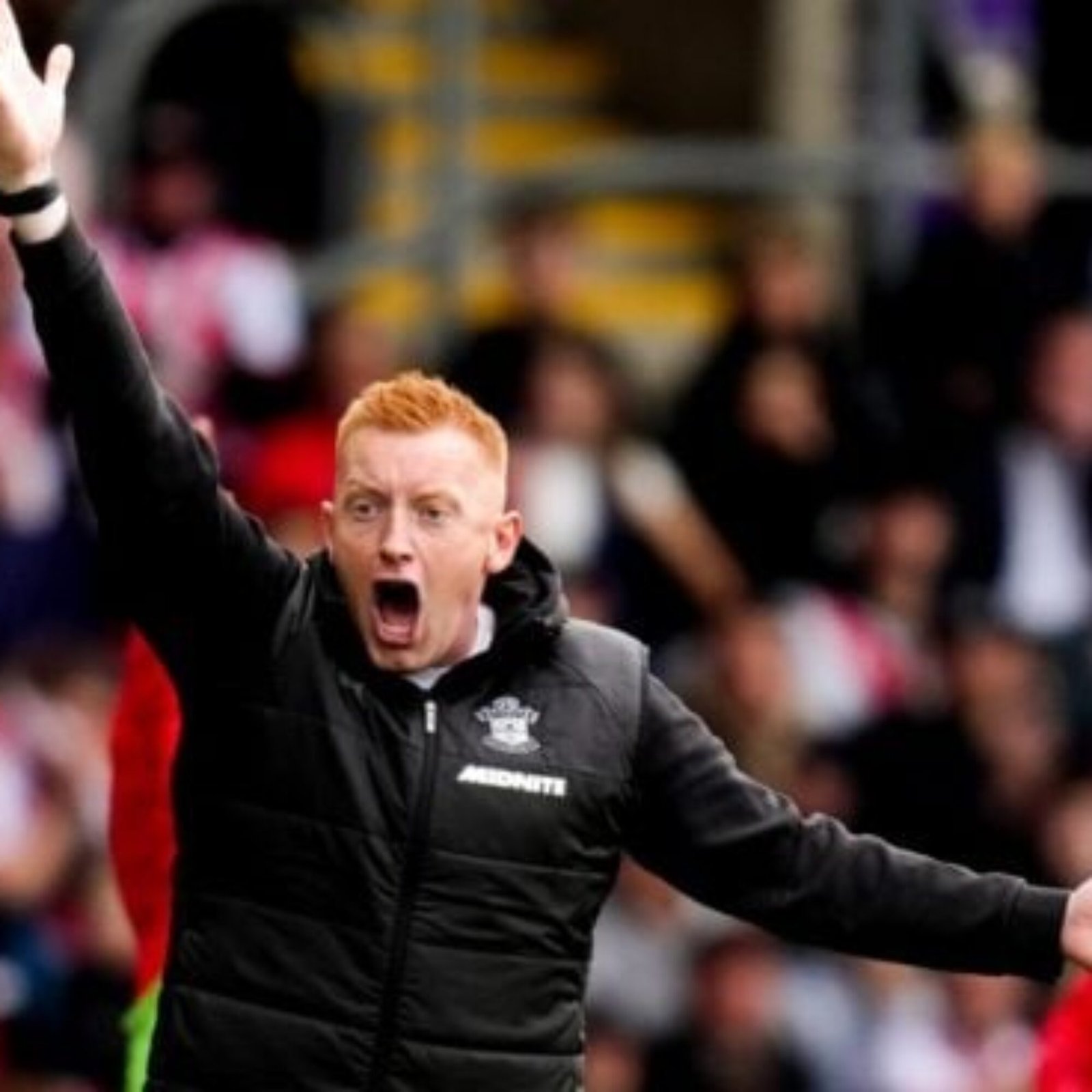 Will Still, la triste fin