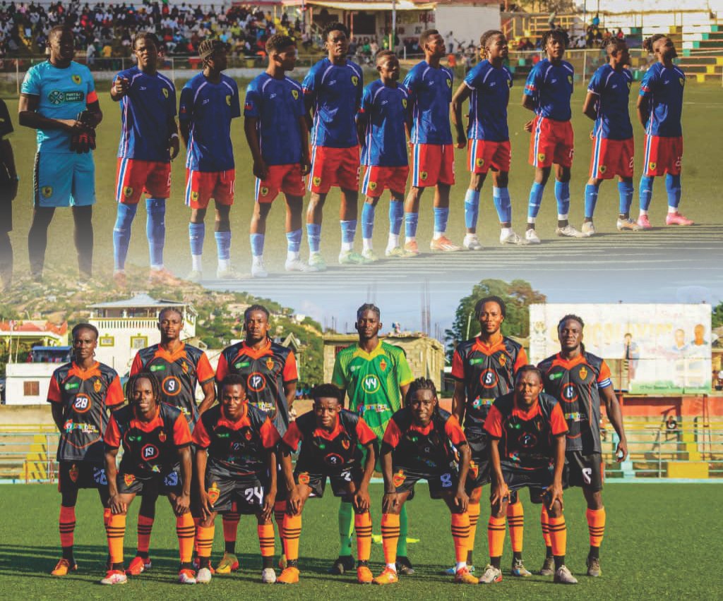 You are currently viewing Championnat D1 LHF : Des victoires clés pour lancer les play-offs